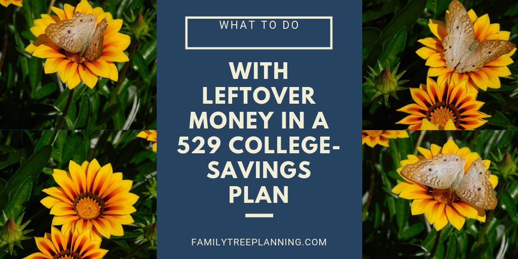What to Do With Leftover Money in a 529 College-Savings Plan