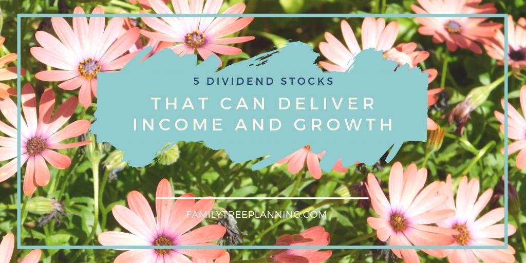 5 Dividend Stocks That Can Deliver Income and Growth
