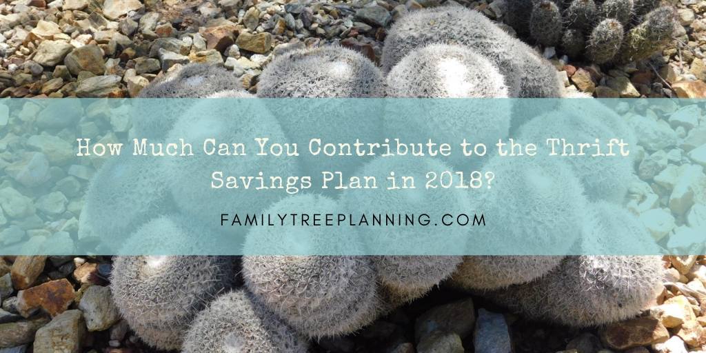 How Much Can You Contribute to the Thrift Savings Plan in 2018_