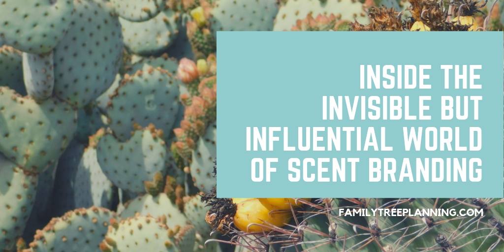 Inside the Invisible but Influential World of Scent Branding