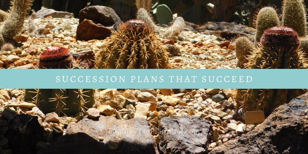 Succession Plans That Succeed